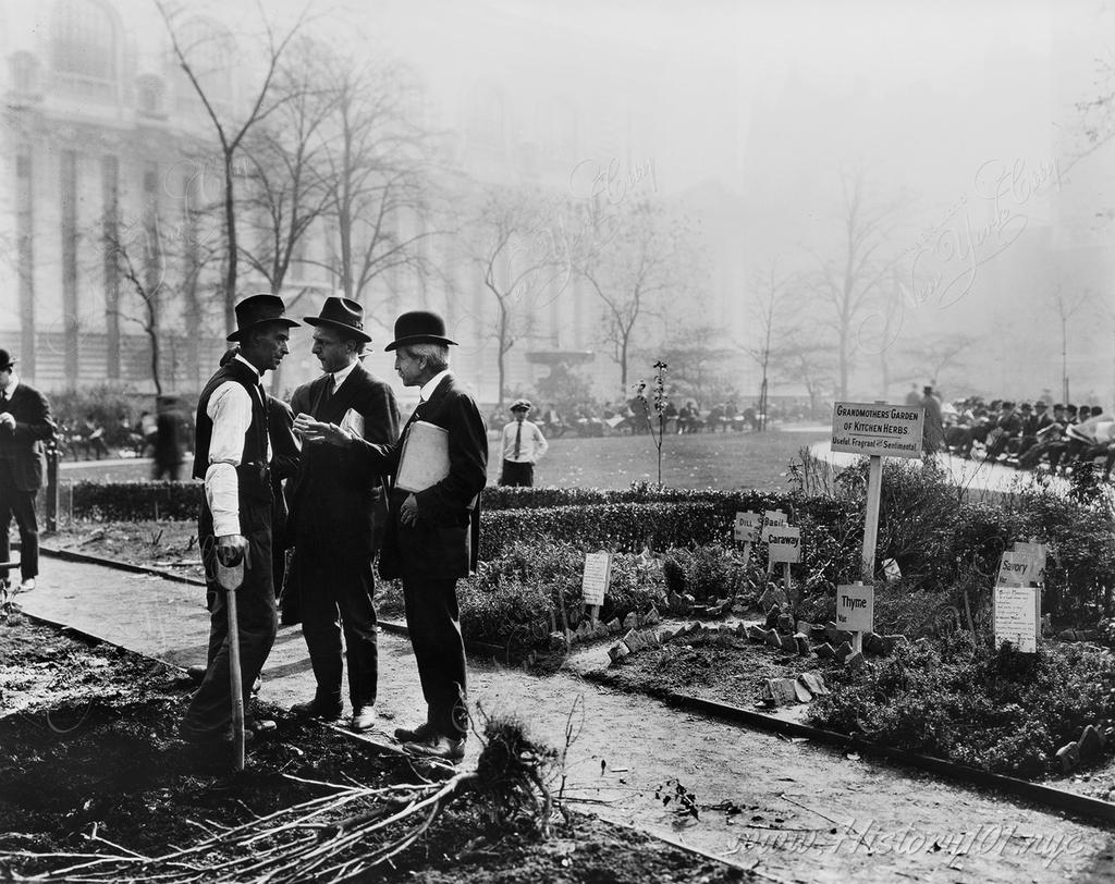 Photograph of three men participating in a gardening experiment at Bryant Park.